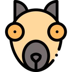 狐猴