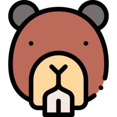 Beaver