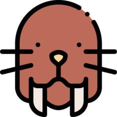 Walrus
