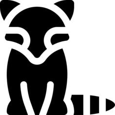 Raccoon