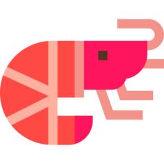 虾