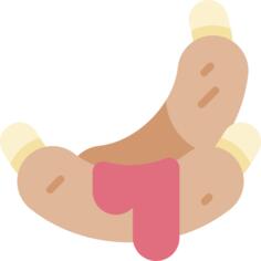 肋骨