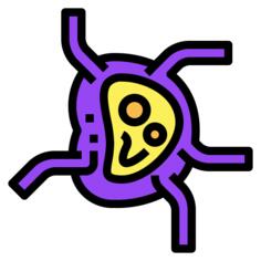 淋巴结