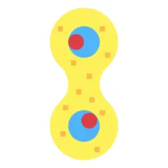 Mitosis