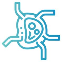 淋巴结