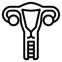 Uterus