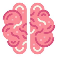 Brain