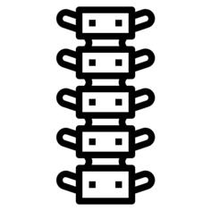Spinal column