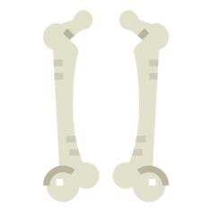 Bone