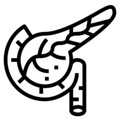 Pancreas