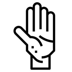 Palm