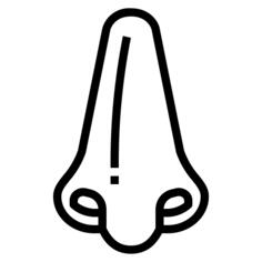 Nose