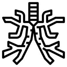 Bronchus