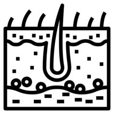 Epidermis