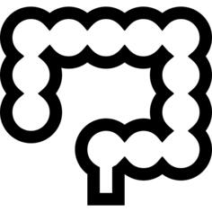Intestine