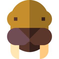 Walrus