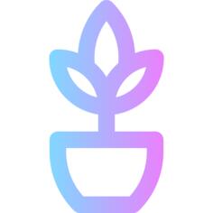 植物