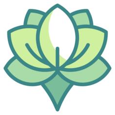 莲花