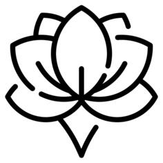 莲花
