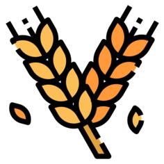 Barley