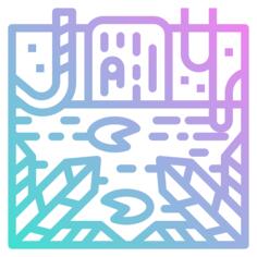 丛林