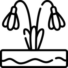 Snowdrop