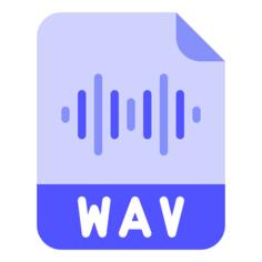 Wav format
