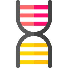 脱氧核糖核酸
