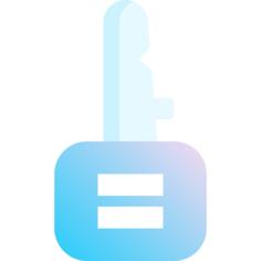 Car key