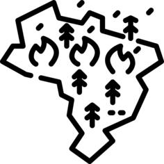 亚马孙