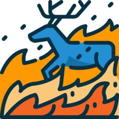 野火