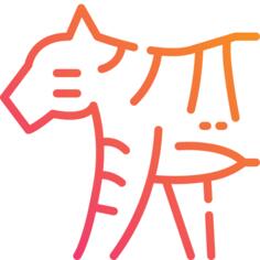 虎