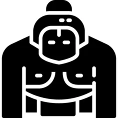 Sumo