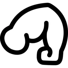 臂