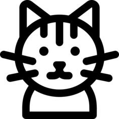 猫