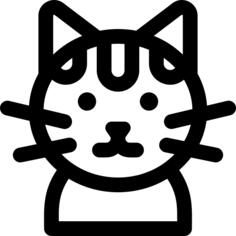 Shorthair cat