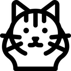 布娃娃猫