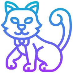 猫