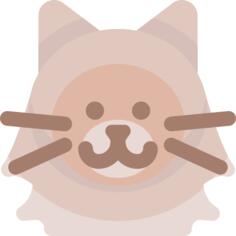 西伯利亚猫