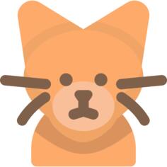 阿比西尼亚猫