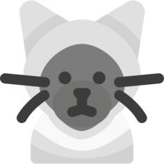 暹罗猫