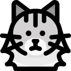 挪威森林猫