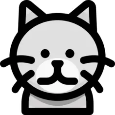 British shorthair cat