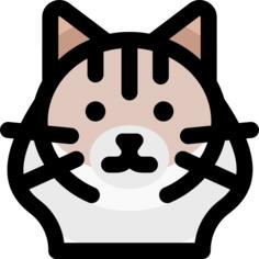 布娃娃猫