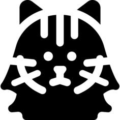 挪威森林猫