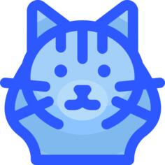 布娃娃猫