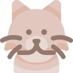 Persian cat