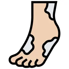 Foot
