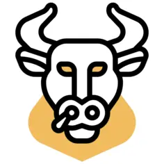 Bull market