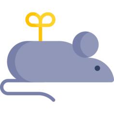 Mouse toy